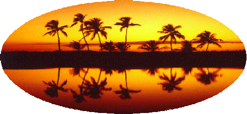  [ Sanibel Island sunset, original photo copyright 1997 David Meardon ] 